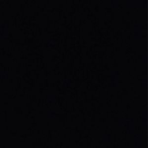 Meet your Posher, Teddy